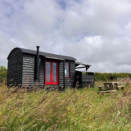 Shepherds Hut In A Private Meadow With Sea Views Hartland Exterior foto