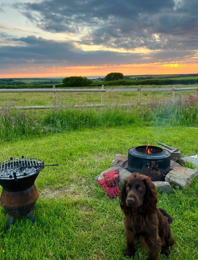 Shepherds Hut In A Private Meadow With Sea Views Hartland Exterior foto